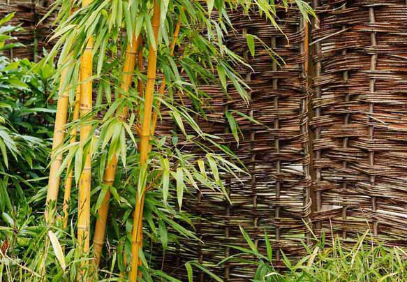 Как выбрать одеяло из бамбука